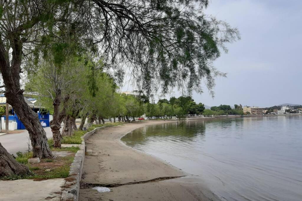 Πολυτελές Διαμέρισμα 2 Χαλκίδα-Παραλία Αυλίδος Paralia Avlidhos ภายนอก รูปภาพ